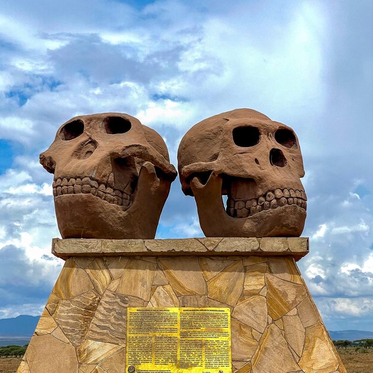 Tanzania safari landscape